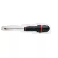 Facom SPR Tamper-Proof TORX(R) Screwdriver - T10