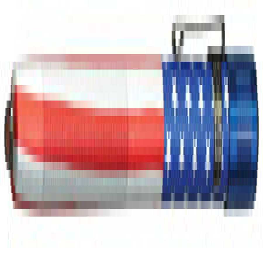 Stylus 3 Cell LED Light - US Flag w/ White LED