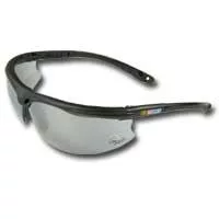 c. NASCAR Titanium Safety Glasses - #3 Dale Earnhardt c. NASCAR Titanium Safety Glasses - #3 Dale Earnhardt