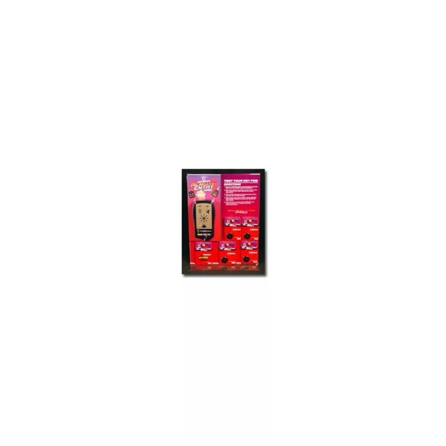 Remote Entry Pro Display w/ Replacement Battery