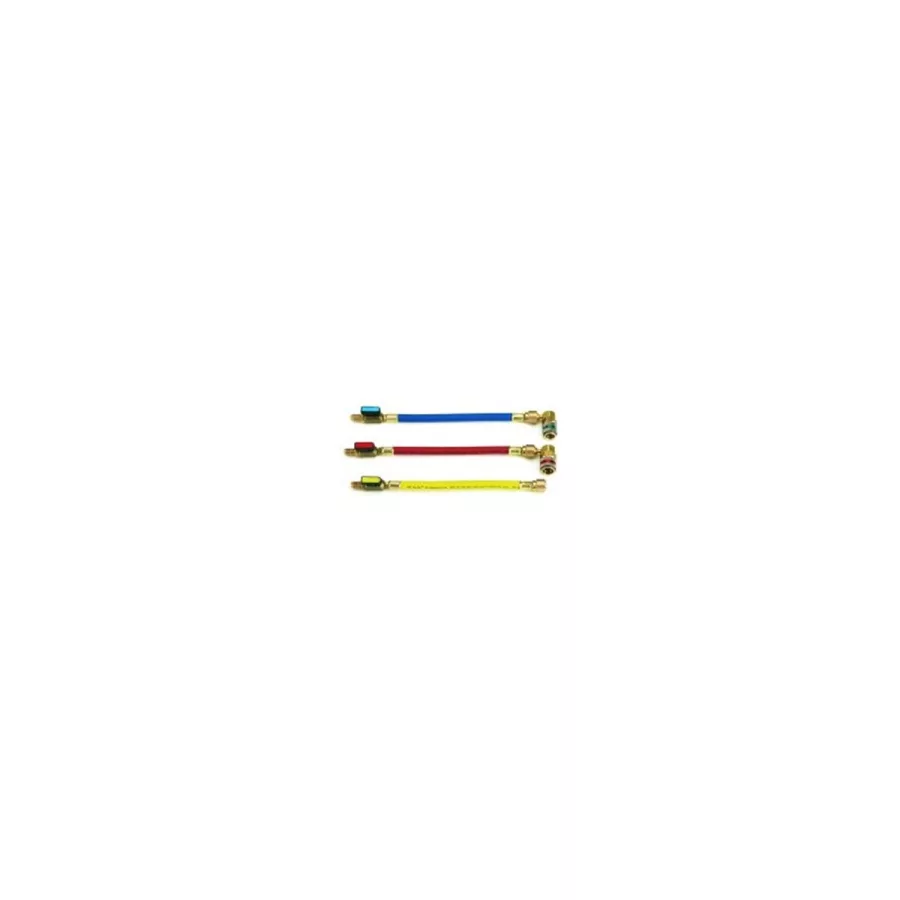 Manifold Conversion Hose Set - R12 to R134a