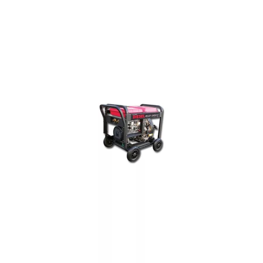6000 Watt Diesel Welder/Generator Set