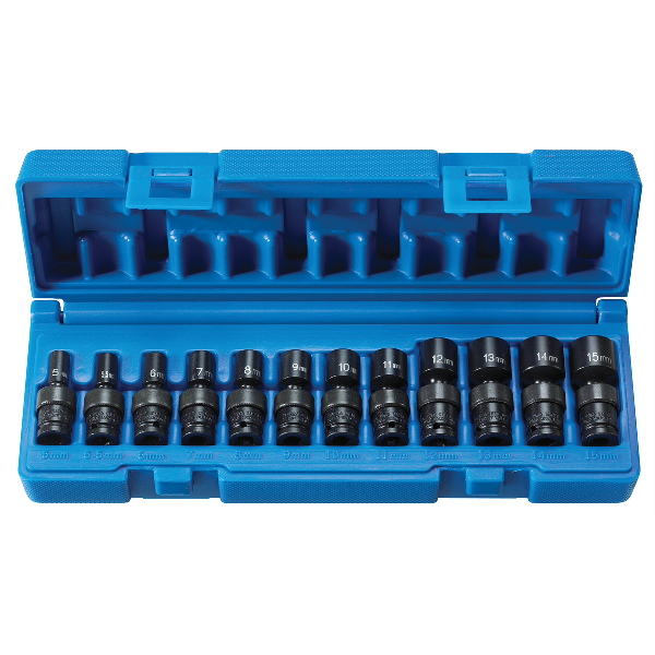 1/4" Drive 6 PT 12 PC Magnetic Std. Universal Set