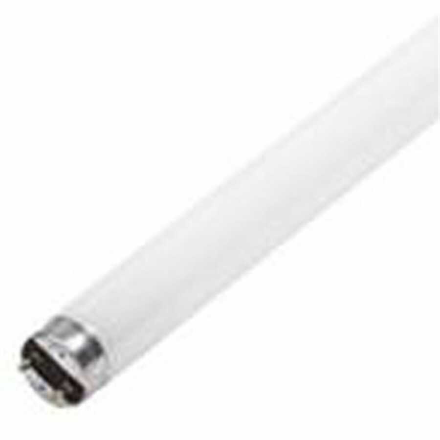 F32T8/741 32 Watt Linear Flou