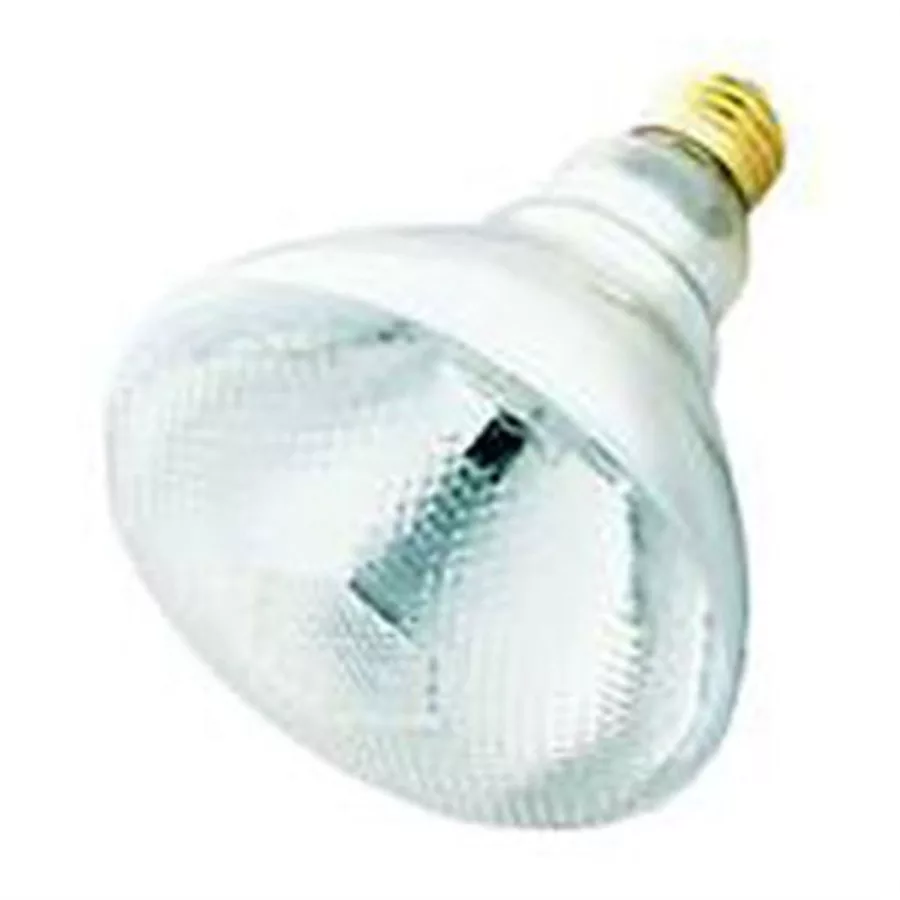 150 Watt Par 38 Incan Outdoor