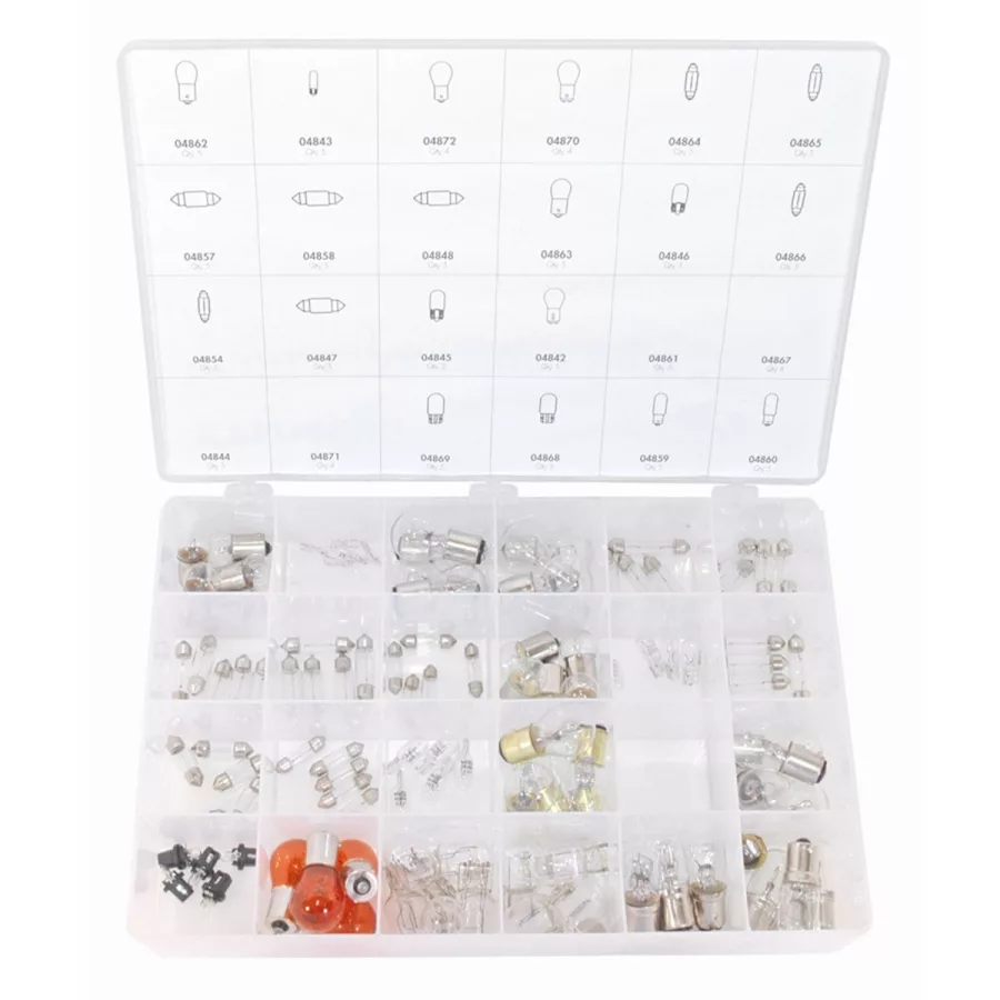Bulb Assortment Mini Import 11