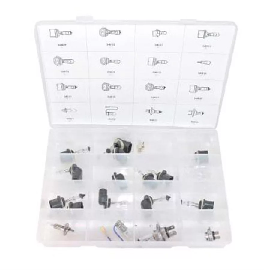 Halogen Bulbs 1 Piece H7-55W Halogen Bulbs 1 Piece H7-55W