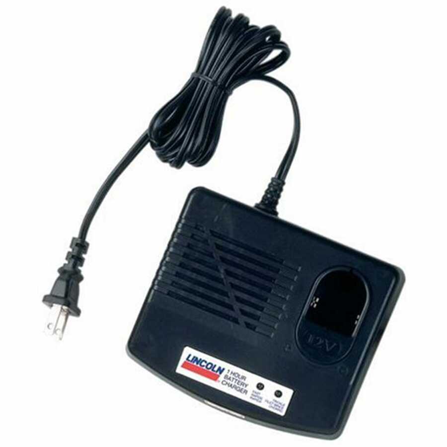 110 Volt Fast Charger