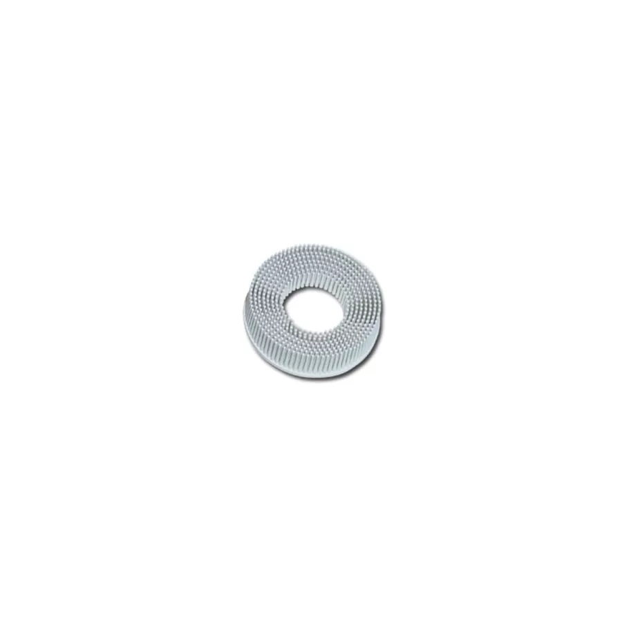 DISPLAY BRISTLE DISC 2IN
