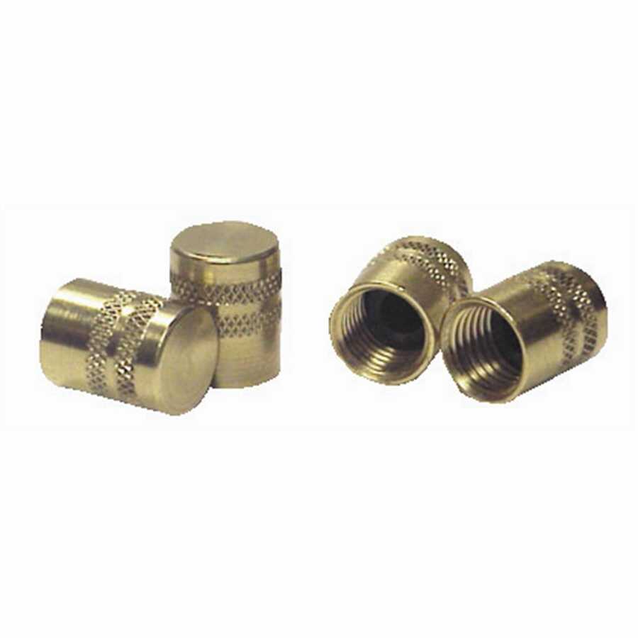 1/4 Inch SAE Brass Quick Seal Caps 6 Pk