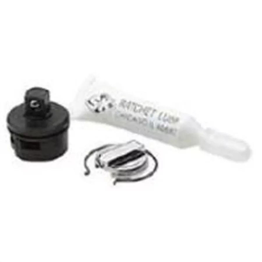 Rebuild Kit for Professional Ratchet Model 47170 (image for) Rebuild Kit for Professional Ratchet Model 47170