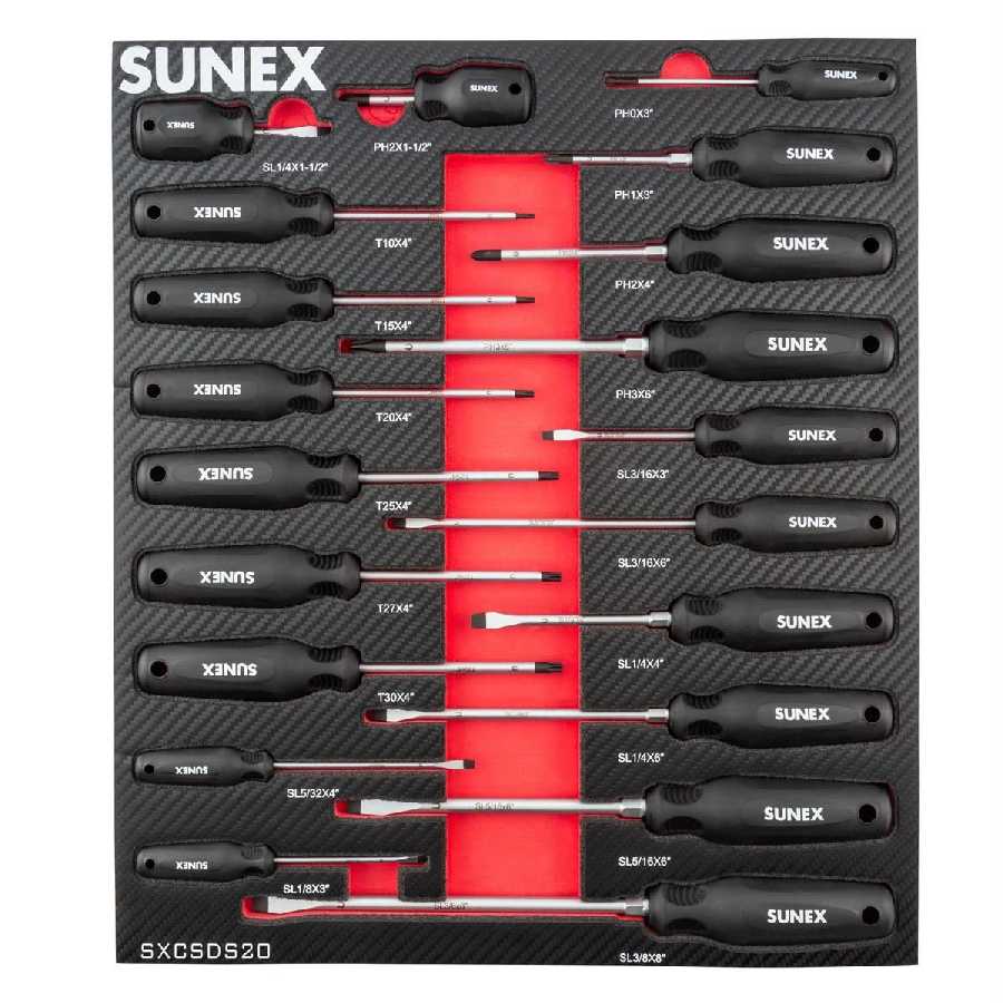 Phillips, Slotted & Torx Magnetic 20 Pc Screwdriver Set in Foam