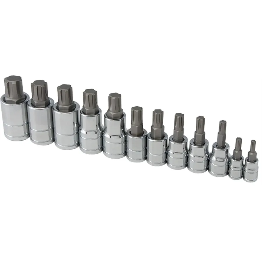 (image for) 12pc Ribe Bit Socket Set