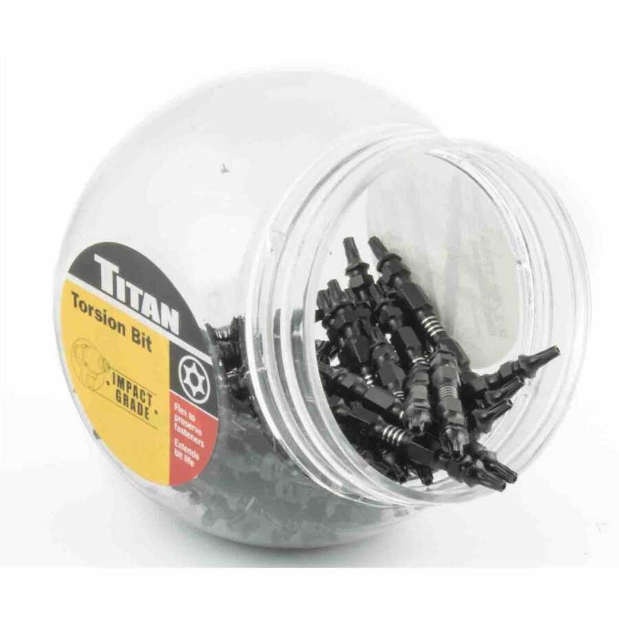 50 Pc. 2-1/2" TT-15 Double End Torsion Bit