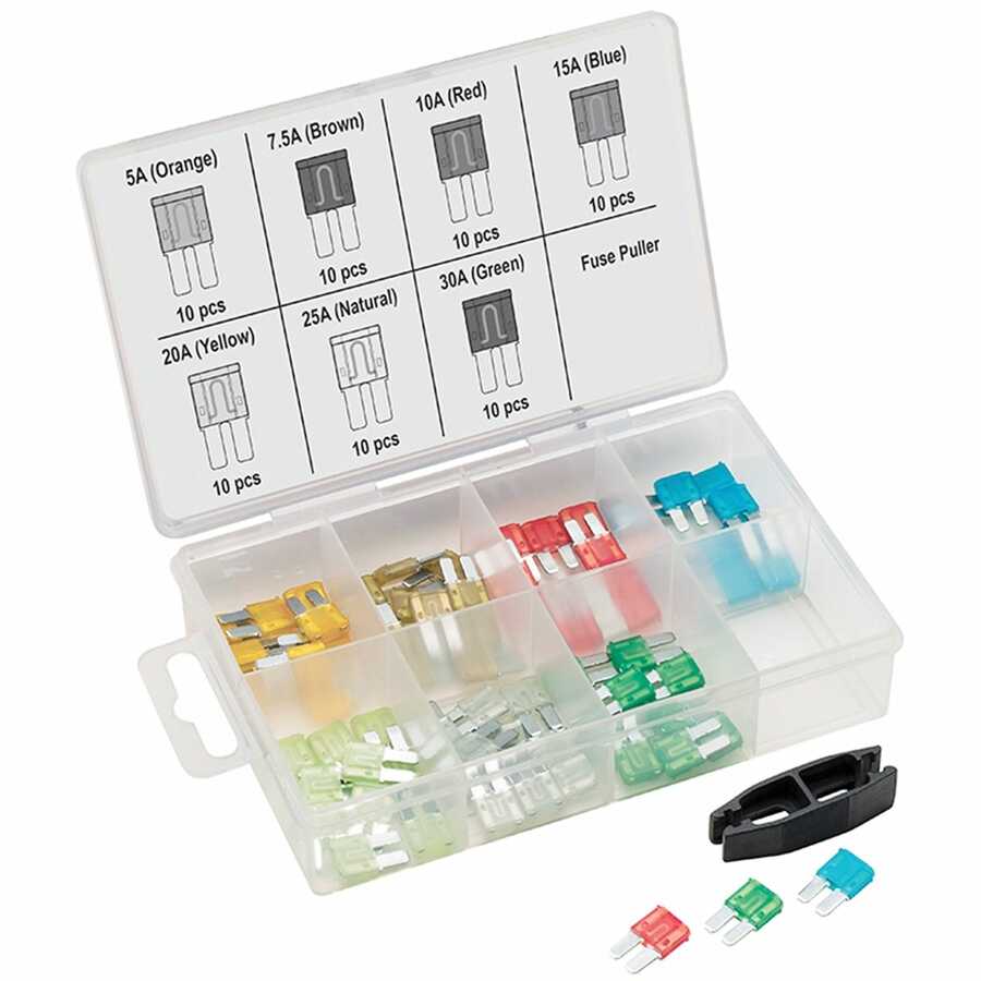 71 Pc Micro-2 Fuse Assortment