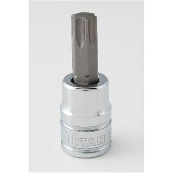 T40 3/8" Dr Torx Bit Socket
