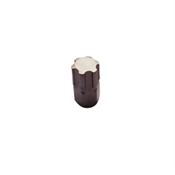 IP10 TORX 1/4" HX 5/8" OAL
