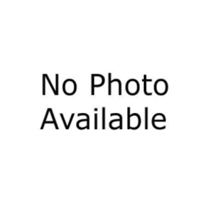 T40 Tamper Proof Bit 5/16 Shank